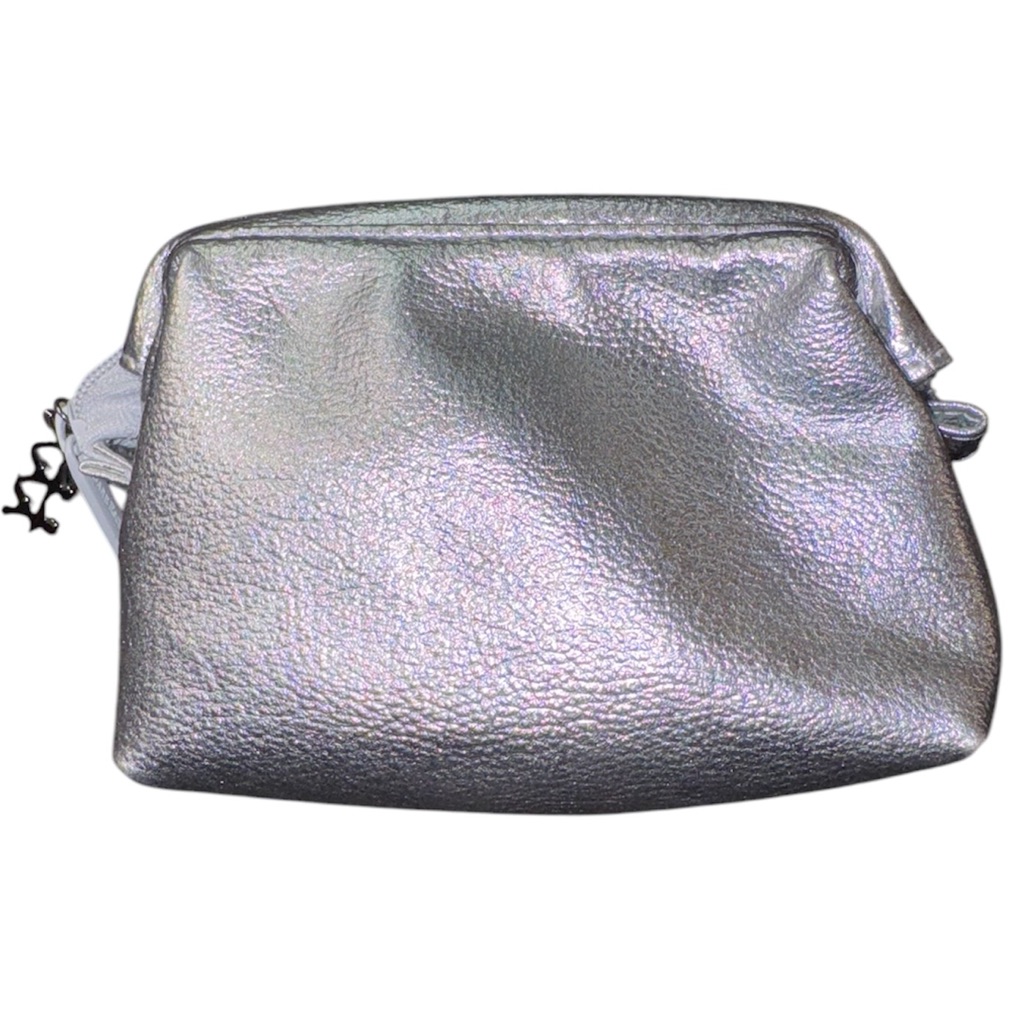 Bare Escentuals Silver Makeup Bag W Mirror